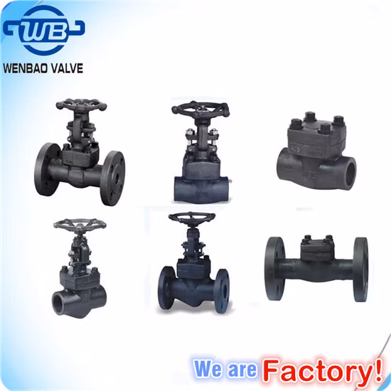 Abmessung des hochdruckgeschmiedeten A105n-Kohlenstoffstahls/Edelstahls/Stahlgusses mit Flanschtyp RF-Rückschlagventil