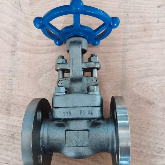 Fabrikpreis F304 F316L F11 F22 Schieber/Kugel/Rückschlagventil 800lb 1500lb A105 geschmiedetes Kohlenstoffstahl-Flanschventil